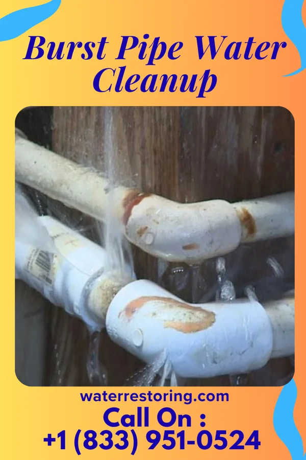 Burst Pipe Water Cleanup in Gruetli-Laager, TN