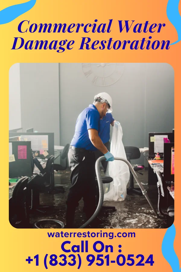 Commercial Water Damage Restoration in Gruetli-Laager, TN
