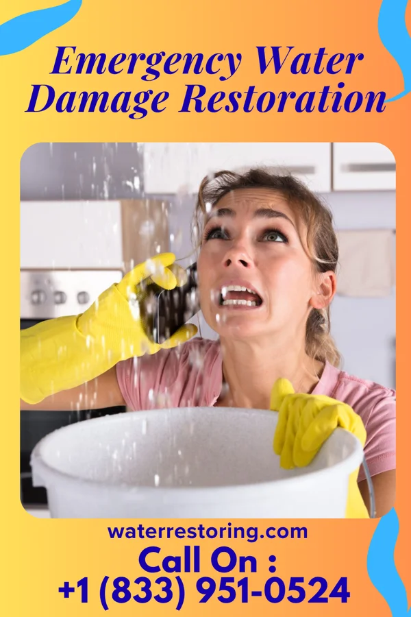Emergency Water Damage Restoration in Gruetli-Laager, TN