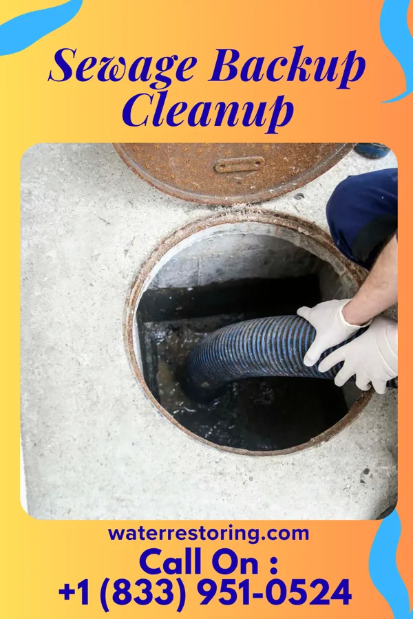 Sewage Backup Cleanup in Gruetli-Laager, TN