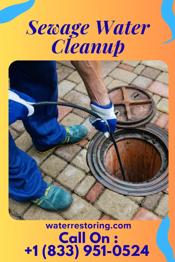Sewage Water Cleanup in Gruetli-Laager, TN