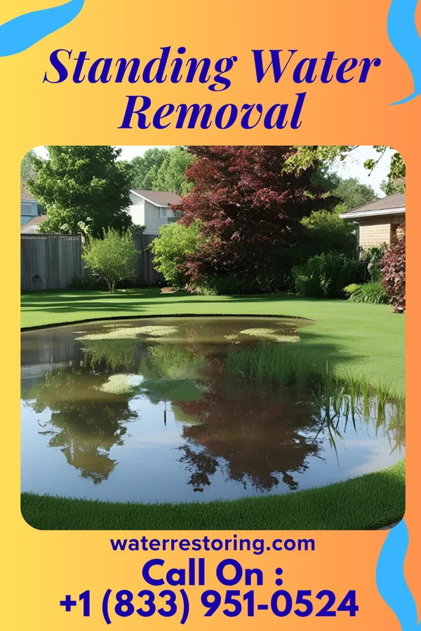 Standing Water Removal in Gruetli-Laager, TN
